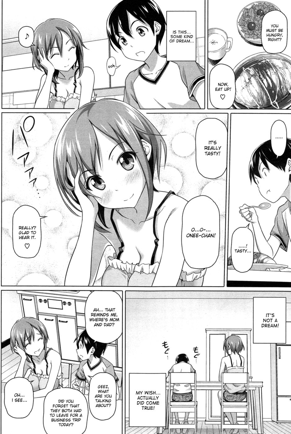 Hentai Manga Comic-My Wonderful Big Sister-Read-4